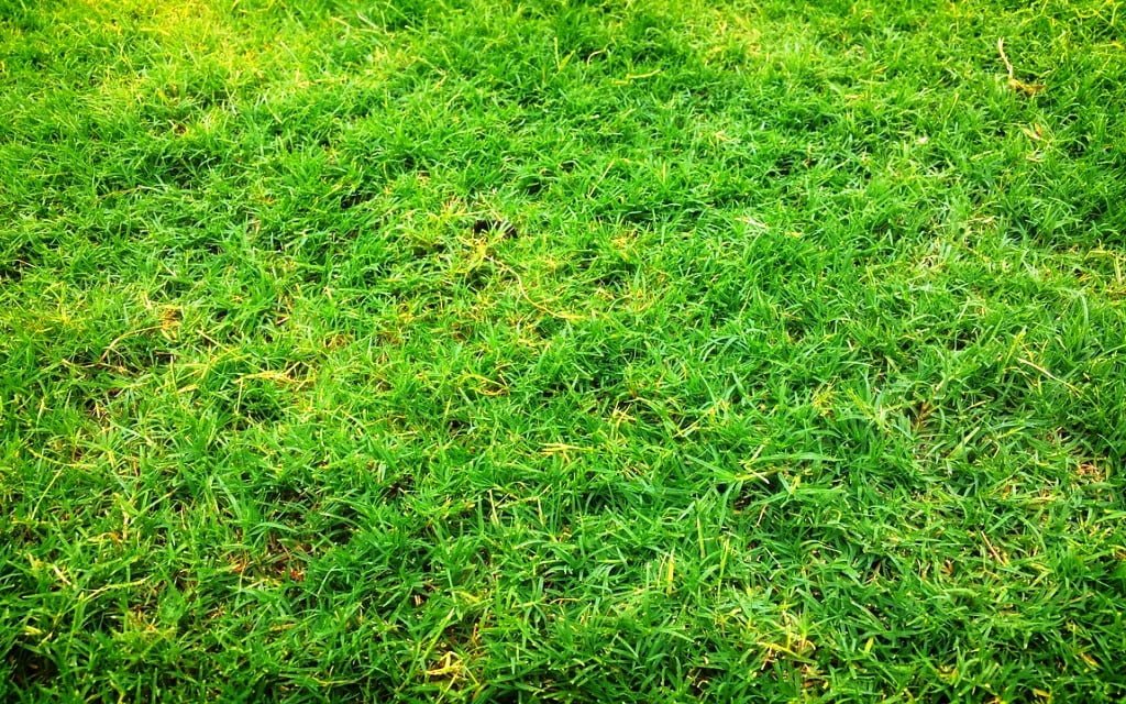 ANÁLISIS DE RIESGOS DE CONTAMINACIÓN DE SUELOS