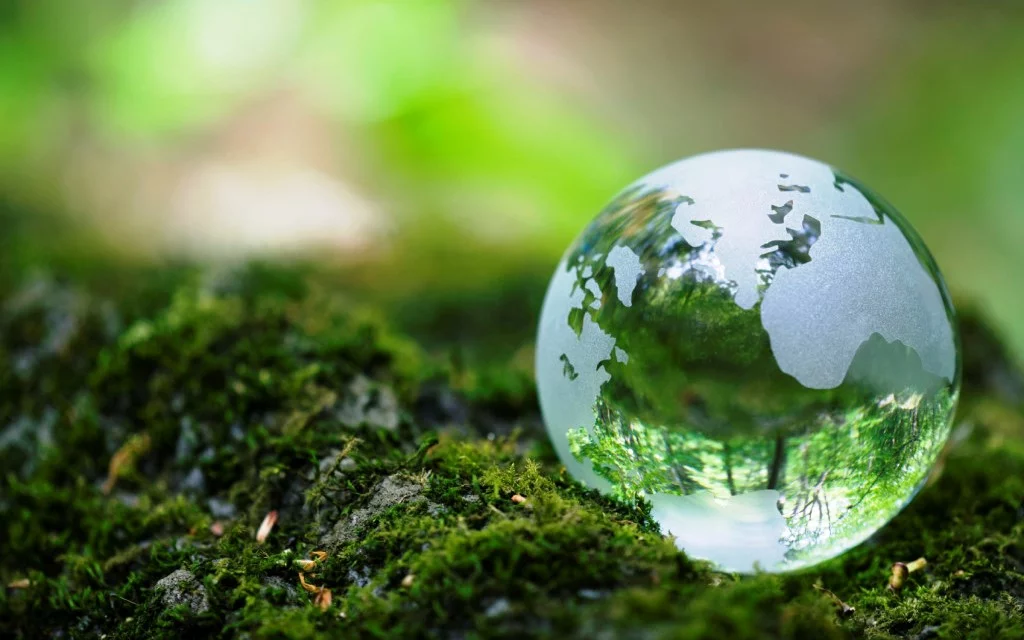 OUTSOURCING EN MEDIO AMBIENTE