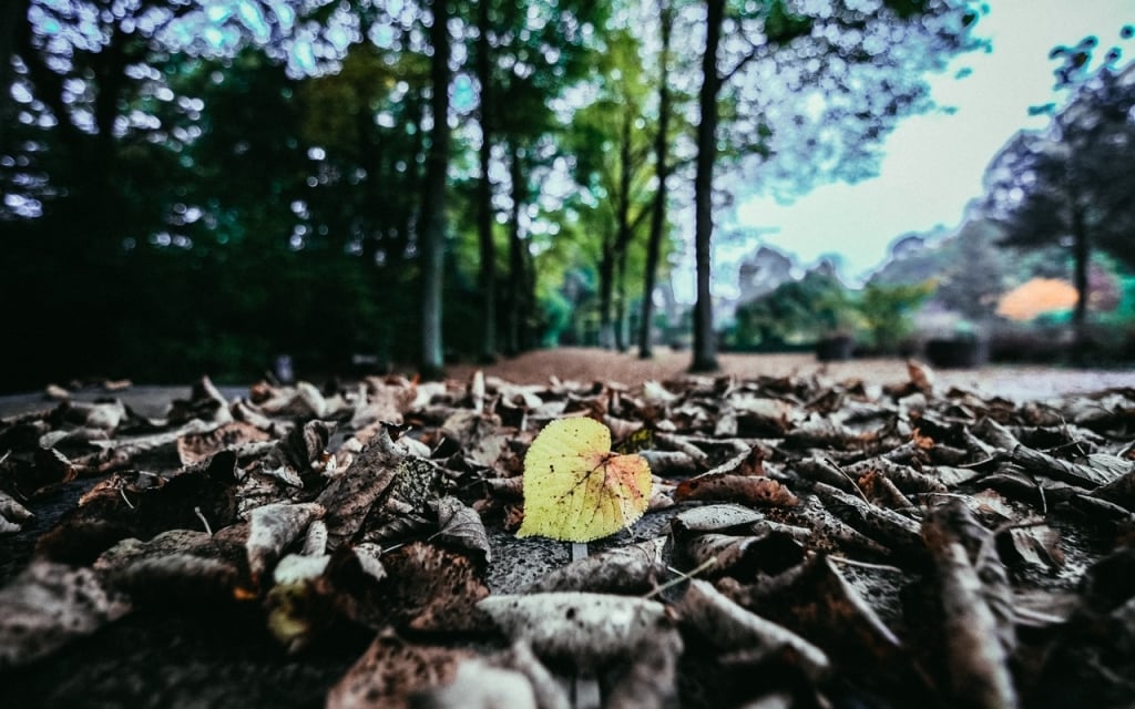 RECUPERACIÓN DE SUELOS CONTAMINADOS - ALLPE - MADRID