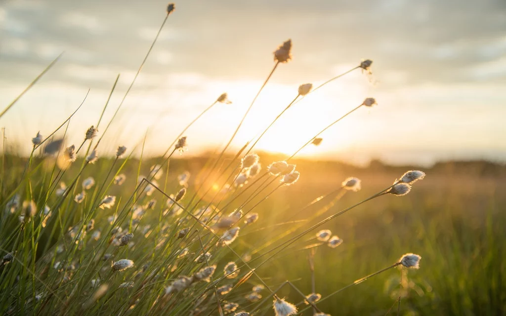 OUTSOURCING EN MEDIO AMBIENTE