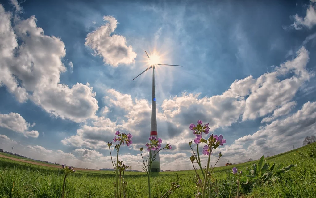 PROYECTOS DE DESARROLLO RURAL Empresa Medio Ambiente Madrid - Consultoría Ambiental