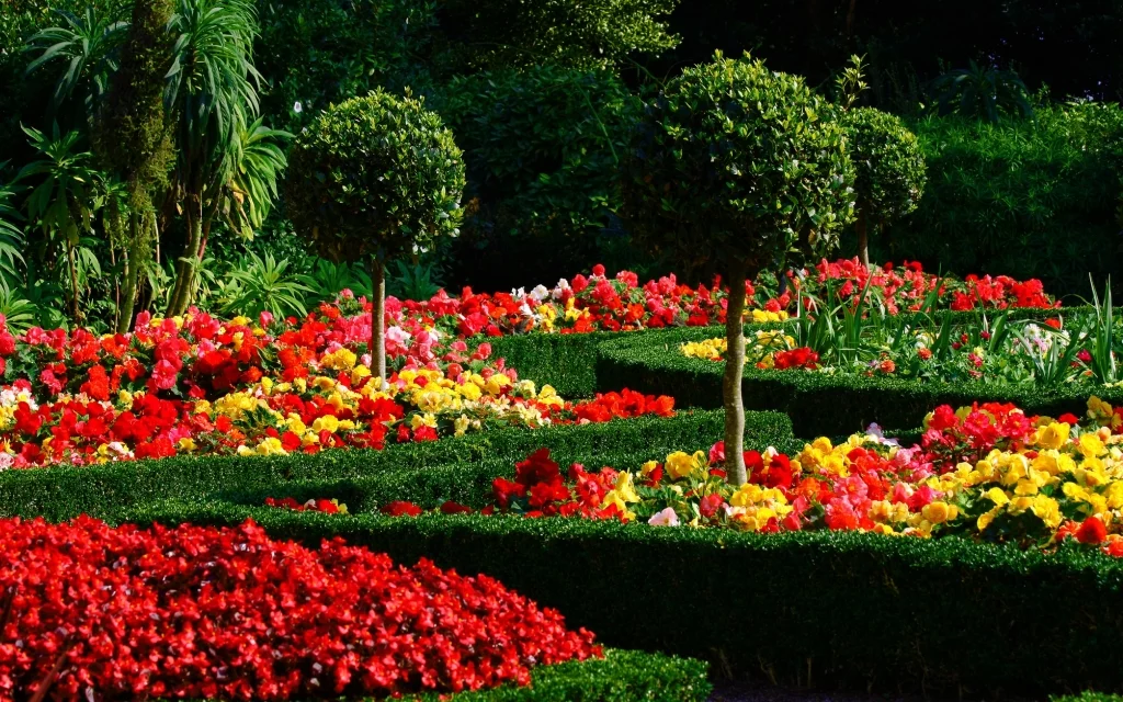 PAISAJISMO Y JARDINERIA MADRID