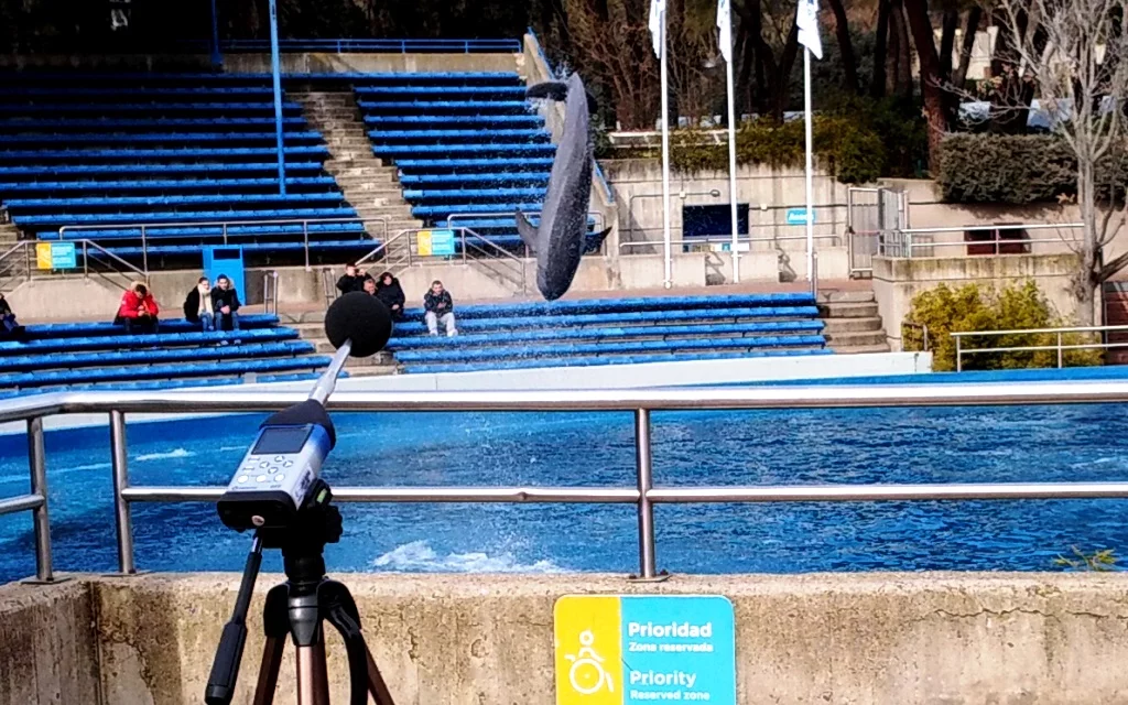 mediciones acusticas orca mediciones acusticas orca