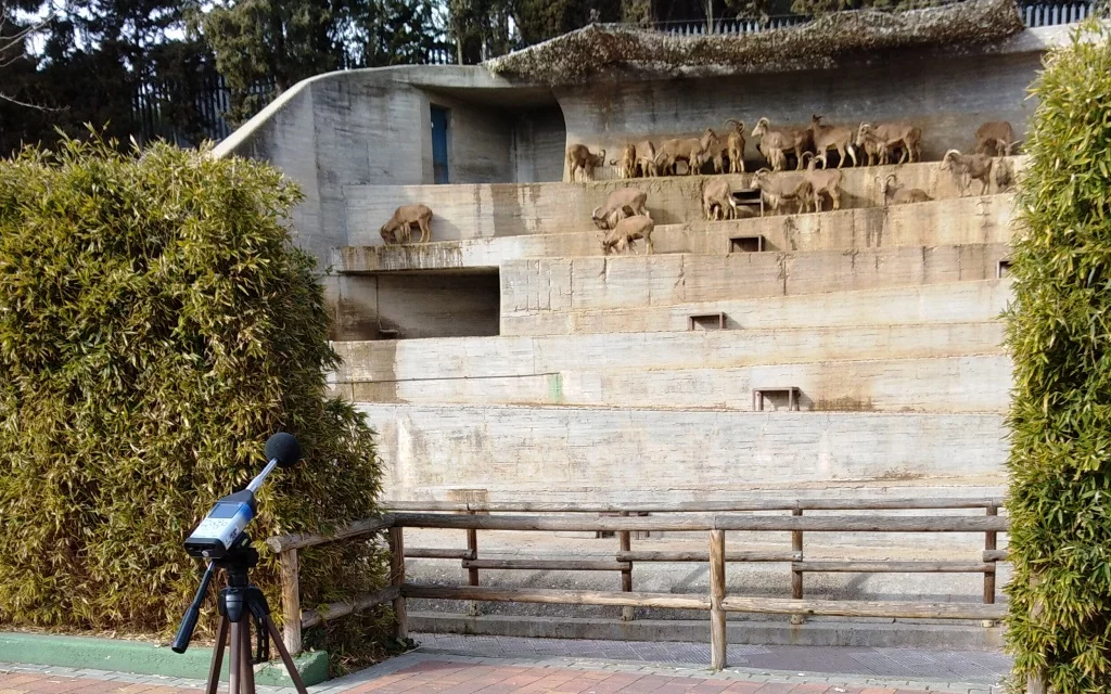 Medidas de ruido cabras montesas