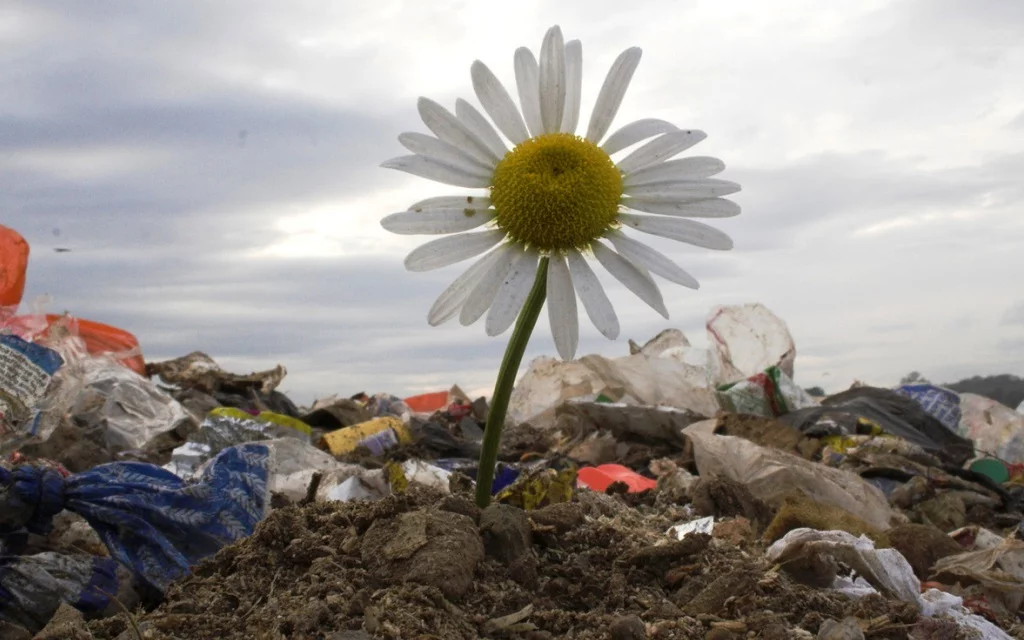 AUTORIZACION PARA LA GESTIN DE RESIDUOS EN LA COMUNIDAD DE MADRID AUTORIZACIÓN PARA LA GESTIÓN DE RESIDUOS EN LA COMUNIDAD DE MADRID