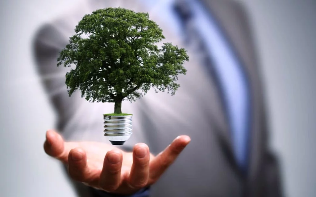 EFICIENCIA ENERGÉTICA PARA AYUNTAMIENTOS EFICIENCIA ENERGÉTICA PARA AYUNTAMIENTOS