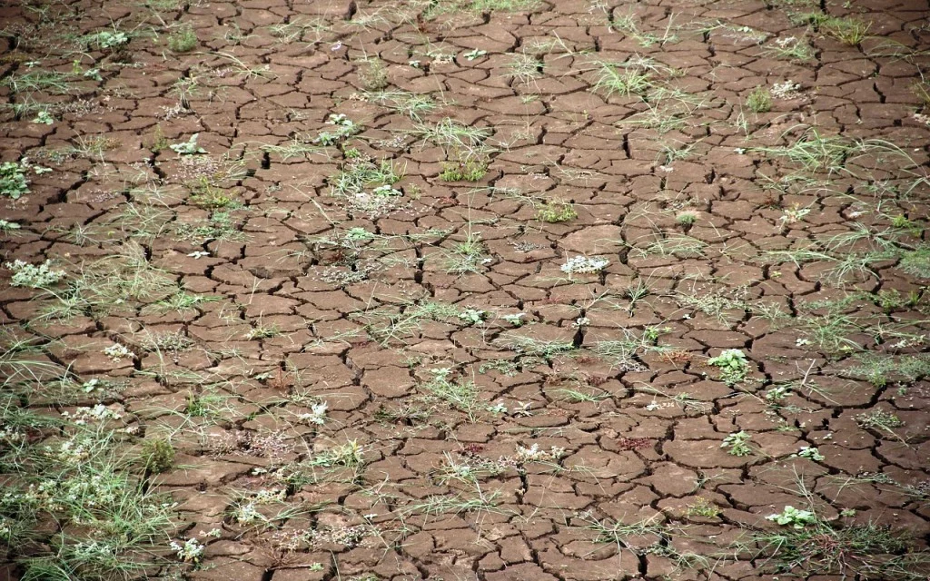 ESTUDIO HISTORICO DE SUELOS 2 ESTUDIO HISTÓRICO DE SUELOS