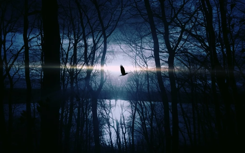 ESTUDIOS DE FAUNA 2 ESTUDIOS DE FAUNA Empresa Consultoría Medio Ambiente Madrid