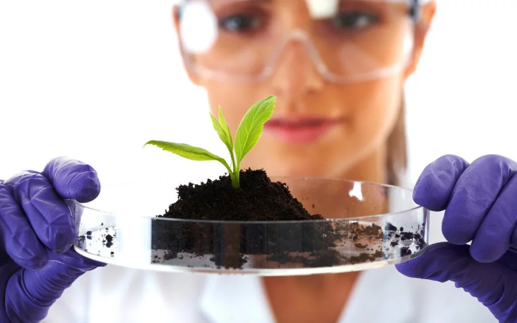 INFORME DE SITUACION CON CARACTERIZACION ANALITICA INFORME DE SITUACIÓN DE SUELOS CON CARACTERIZACIÓN ANALÍTICA