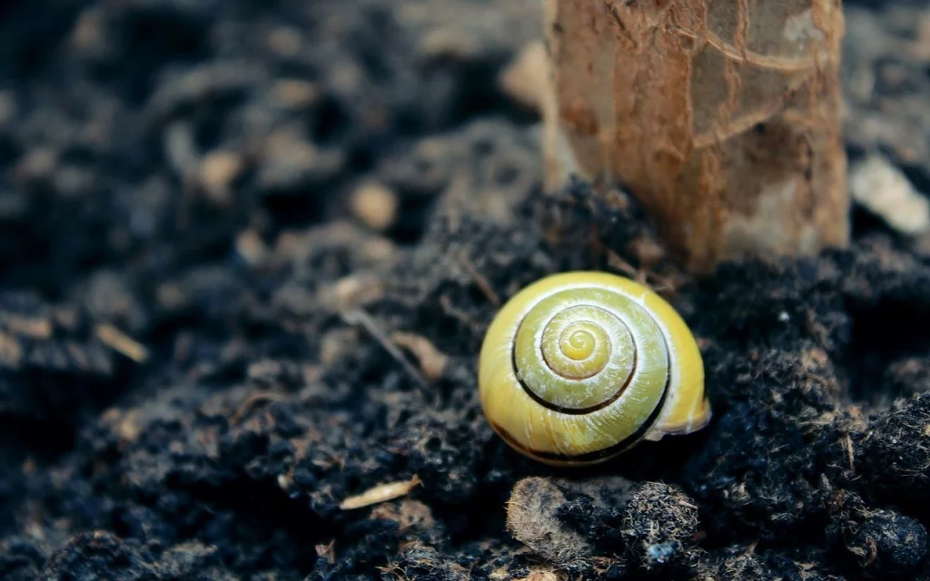 INFORME PRELIMINAR DE SUELOS INFORME PRELIMINAR DE SUELOS Empresa de Ingeniería y Consultoría Ambiental en la Comunidad de Madrid