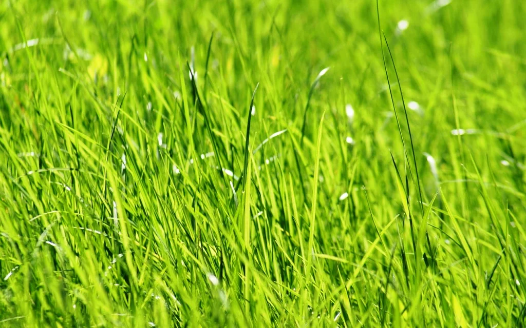 INFORMES PERIODICOS DE LA CALIDAD DEL SUELO 2 INFORMES PERIÓDICOS DE LA CALIDAD DEL SUELO