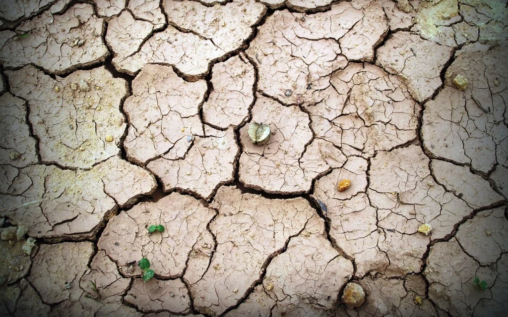 INFORMES PERIODICOS DE LA CALIDAD DEL SUELO INFORMES PERIÓDICOS DE LA CALIDAD DEL SUELO