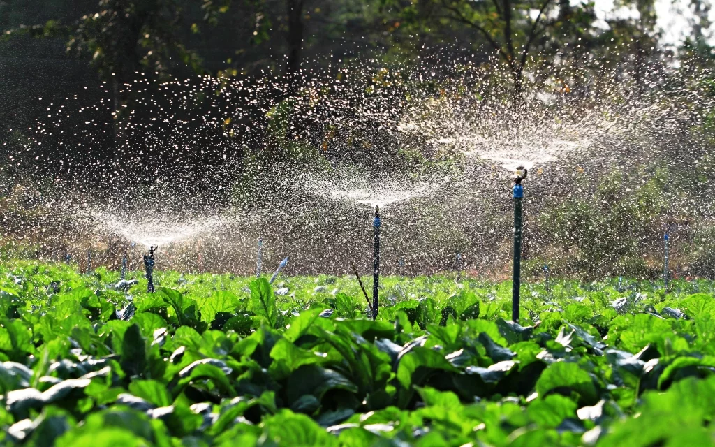 PROYECTOS DE IMPLANTACIÓN DE REGADÍOS