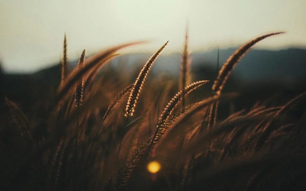 RESPONSABILIDAD MEDIOAMBIENTAL Empresa Ambiental Consultoría Medio Ambiente Madrid