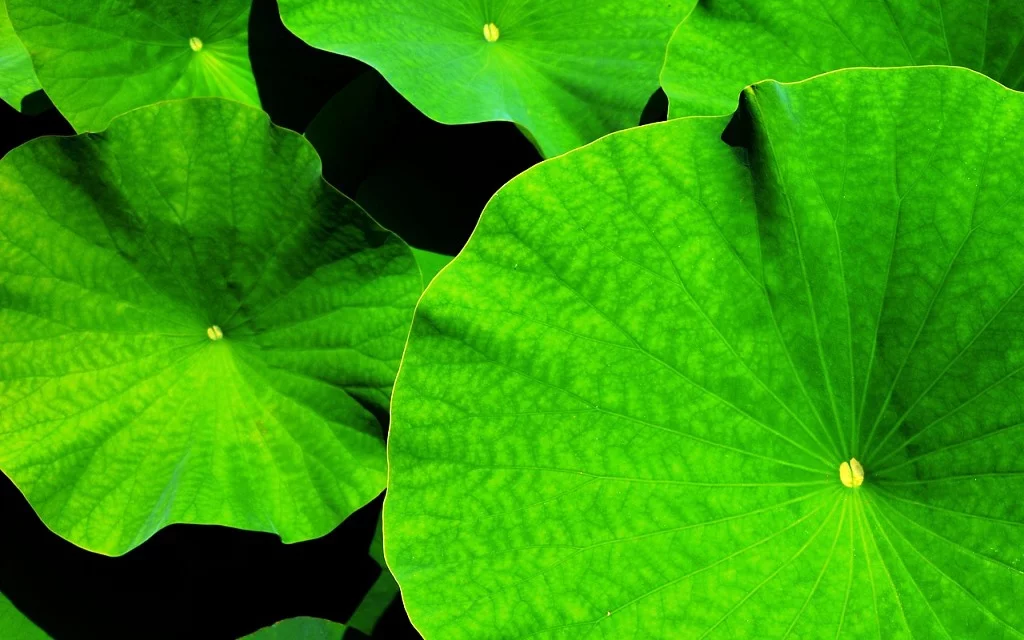 RESPONSABILIDAD MEDIOAMBIENTAL Empresa Consultoría Medio Ambiente Madrid