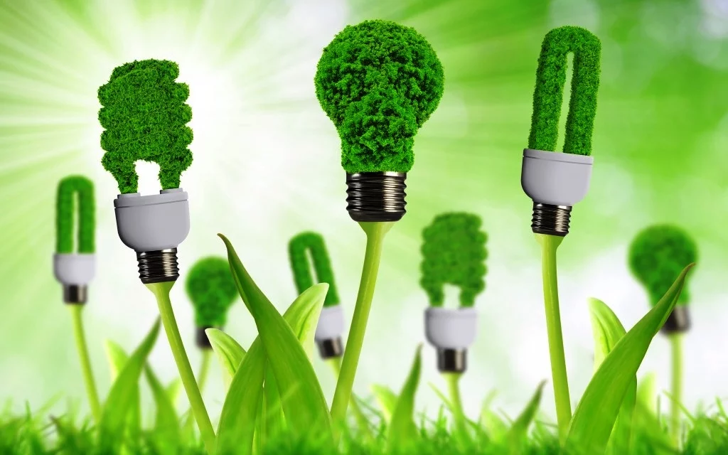 EFICIENCIA ENERGETICA EN ILUMINACION INTERIOR