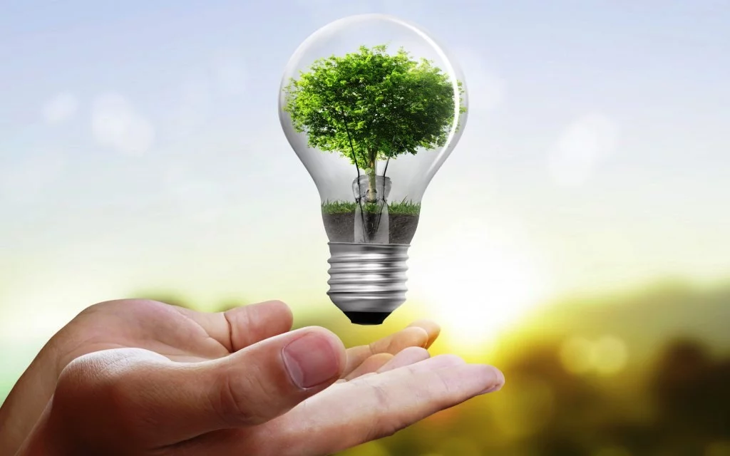 eficiencia energetica subvenciones SUBVENCIONES Y EFICIENCIA ENERGÉTICA