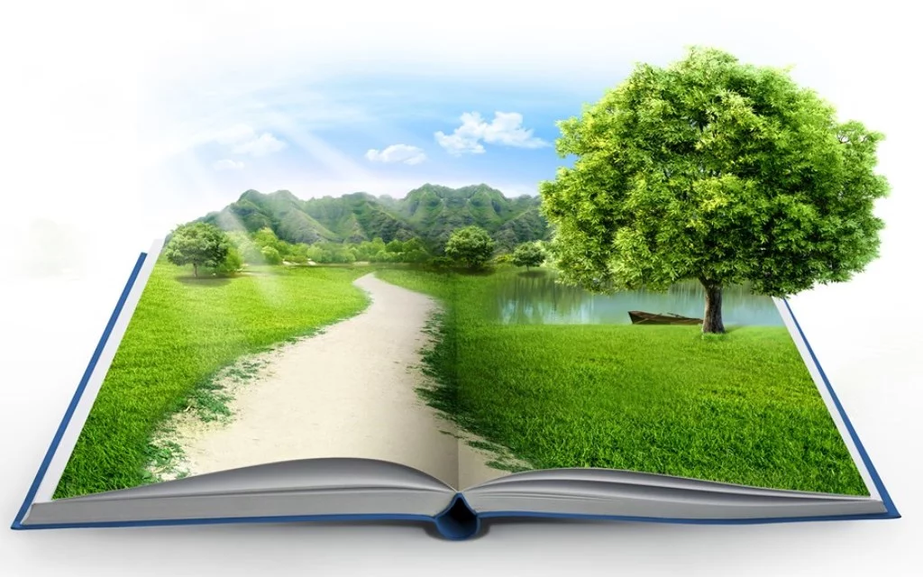 estudios de impacto ambiental Estudios de Impacto Ambiental - Empresa Consultoría Madrid