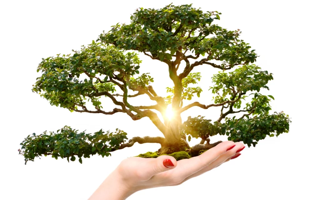 informes ambientales Informes Ambientales Empresa de Medio Ambiente Madrid