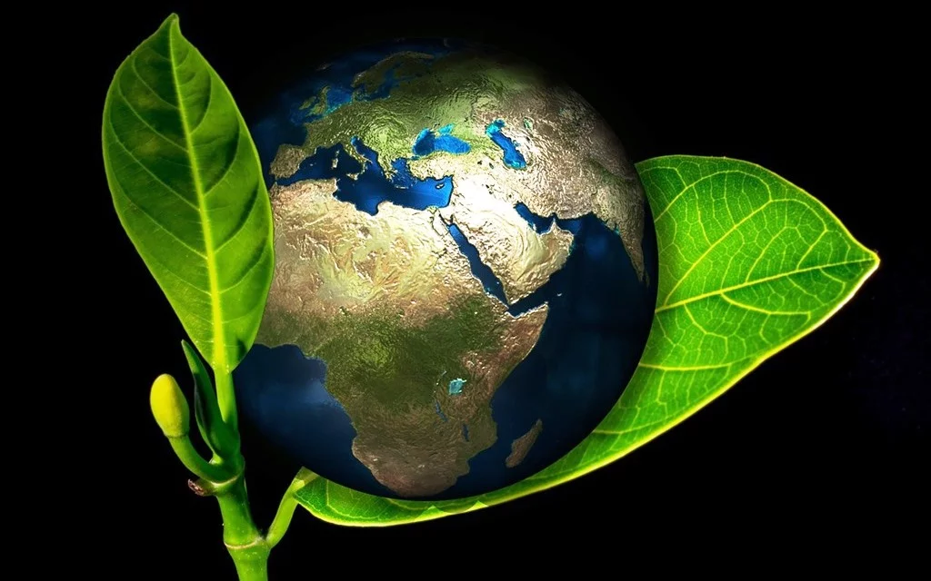 memoria ambiental caso por caso (3) Memoria Ambiental Posterior Empresa Ambiental Consultoría Medioambiental Madrid