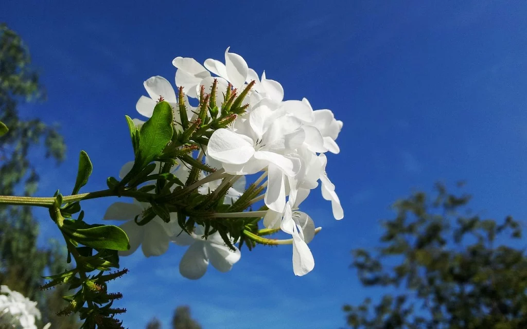 planes de vigilancia ambiental 3 Planes de Vigilancia Ambiental Asesoria Medio Ambiente Madrid