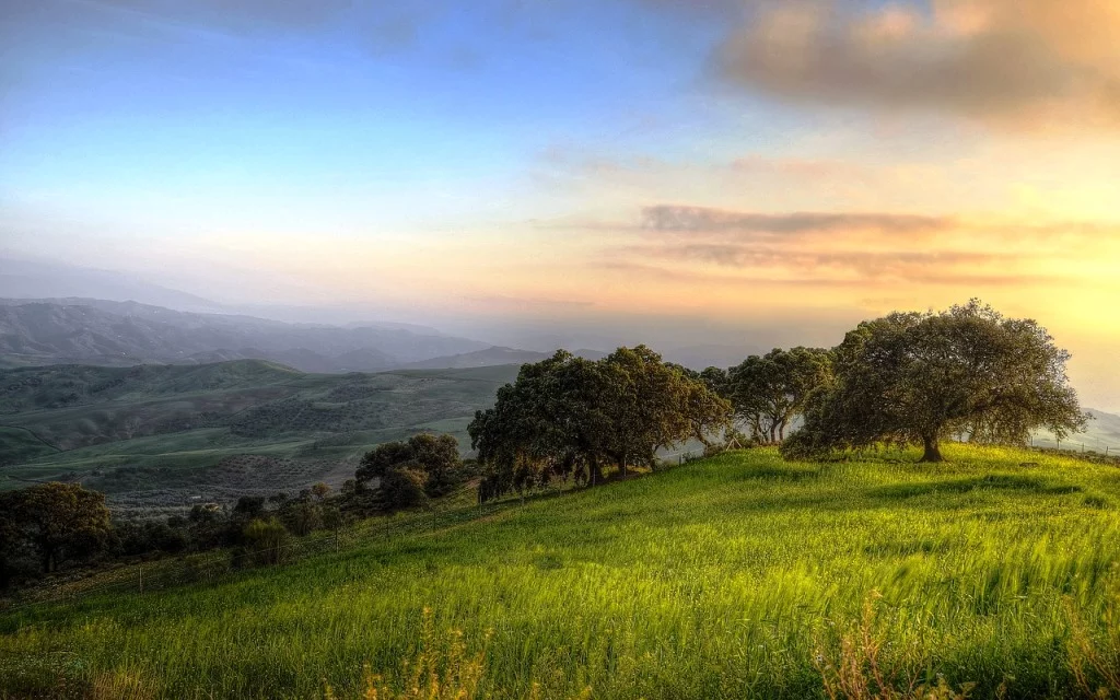 planes de vigilancia ambiental 5 Planes de Vigilancia Ambiental Consultoría Ambiental Madrid