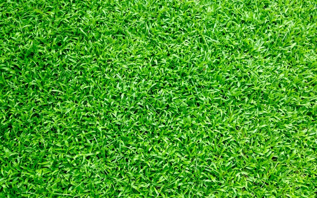 Estudio de Impacto Ambiental enlaces 15 OUTSOURCING EN MEDIO AMBIENTE