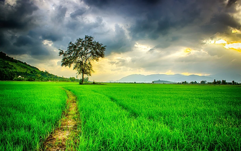 LICENCIA AMBIENTAL LICENCIA AMBIENTAL Empresa Ambiental Consultoría Medio Ambiente Madrid