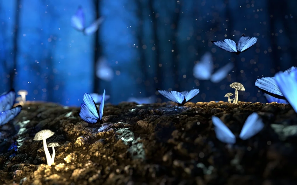 SEGUIMIENTO Y VIGILANCIA DEL PROYECTO DE REPARACIÓN