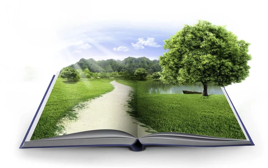 legislacion ambiental Empresa Consultoría Medio Ambiente Madrid Estudio de Impacto Ambiental